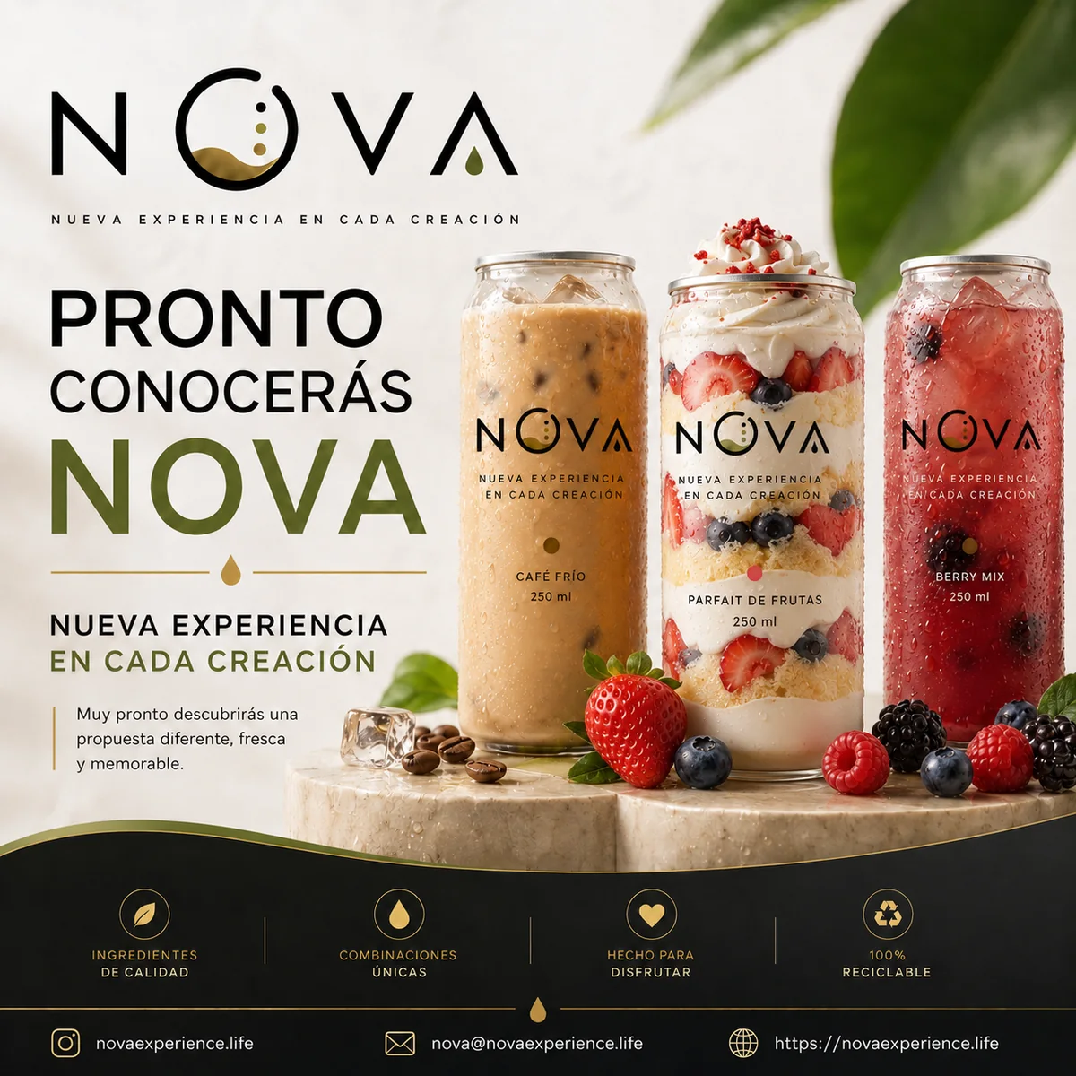 Creaciones visuales NOVA